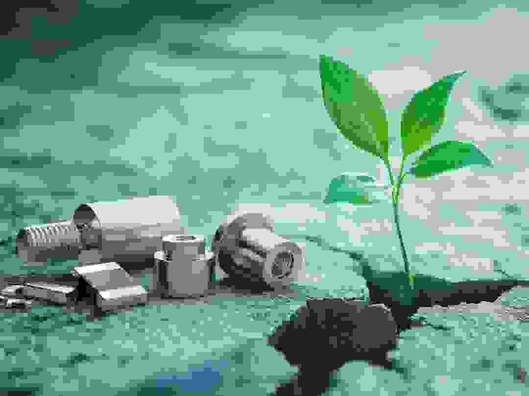 Products lying there, next to a plant sprout emerging from dry soil