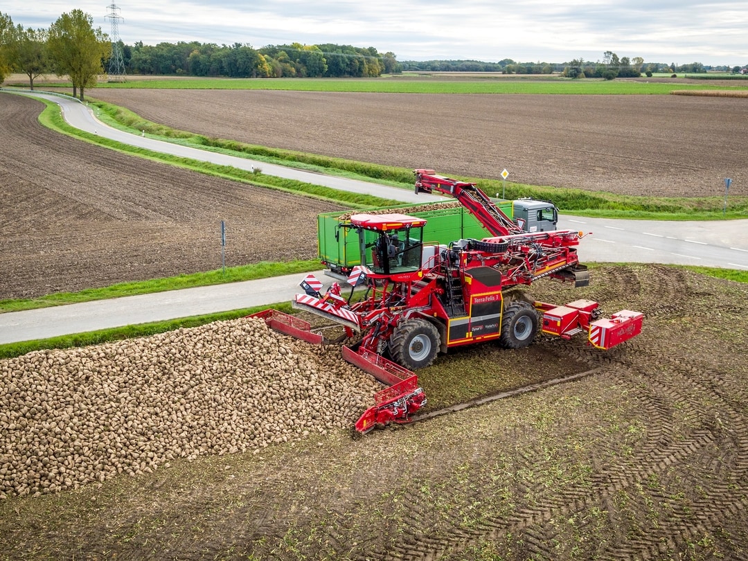 Rübenlader Terra Felis 3 von Holmer Machinenbau