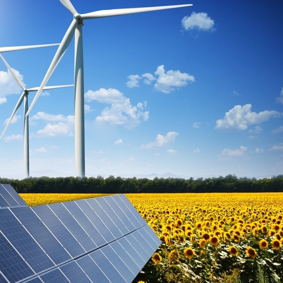 Solar Panel Renewable Energy