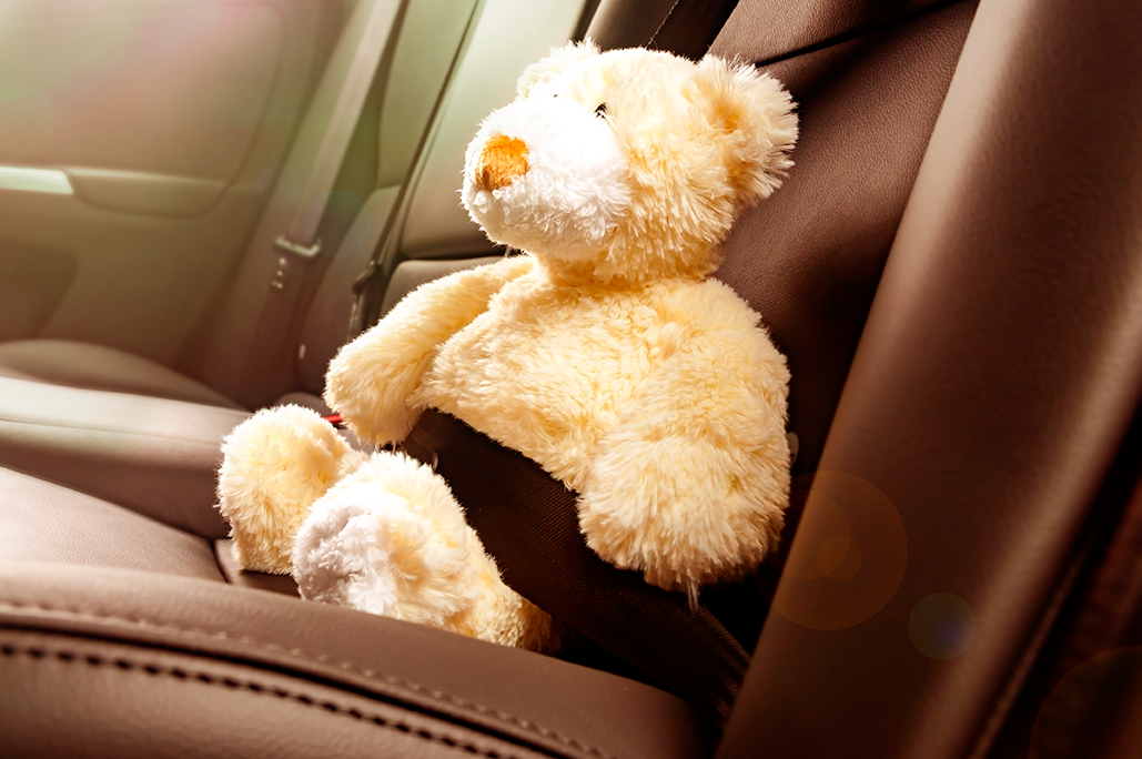 Automotive Applications Safety A teddy bear buckled up in a car