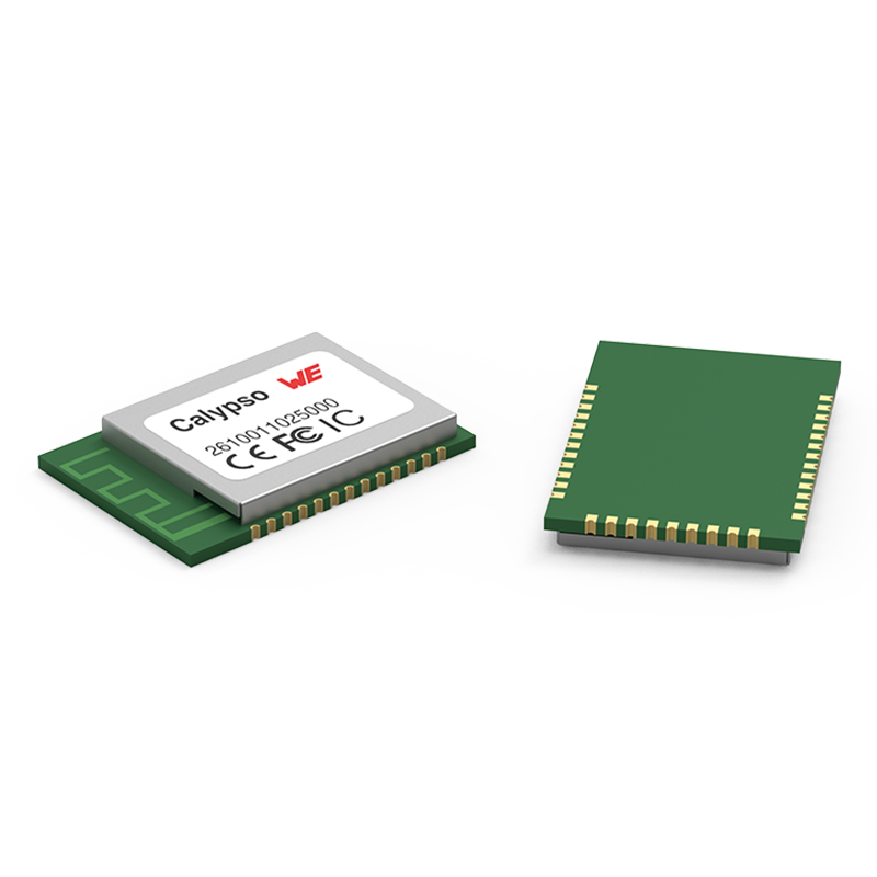 Calypso Calypso Ober- und Unterseite