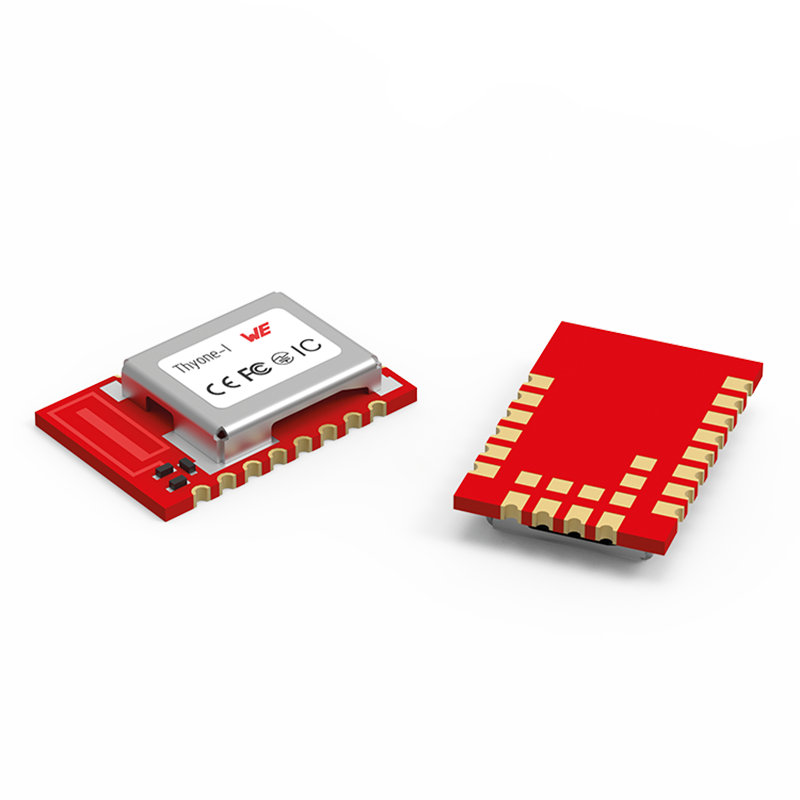 Thyone-I Thyone-I Ober- und Unterseite