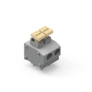 WR-TBL Series 401B - 5.00 mm Screwless Vertical Entry