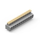 WR-TBL Series 401B - 5.00 mm Screwless Vertical Entry