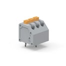 WR-TBL Series 4173S - 3.81 mm 45° Cable Entry Screwless