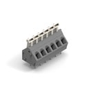 WR-TBL Series 401B - 5.00 mm Screwless Vertical Entry