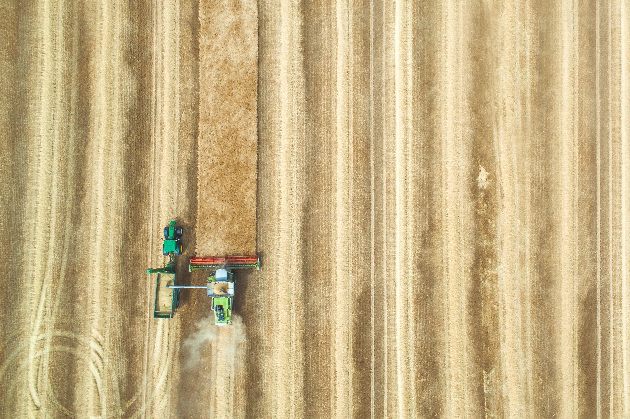 Branchenbild Agrarmaschinen Mähdrescher auf einem Getreidefeld
